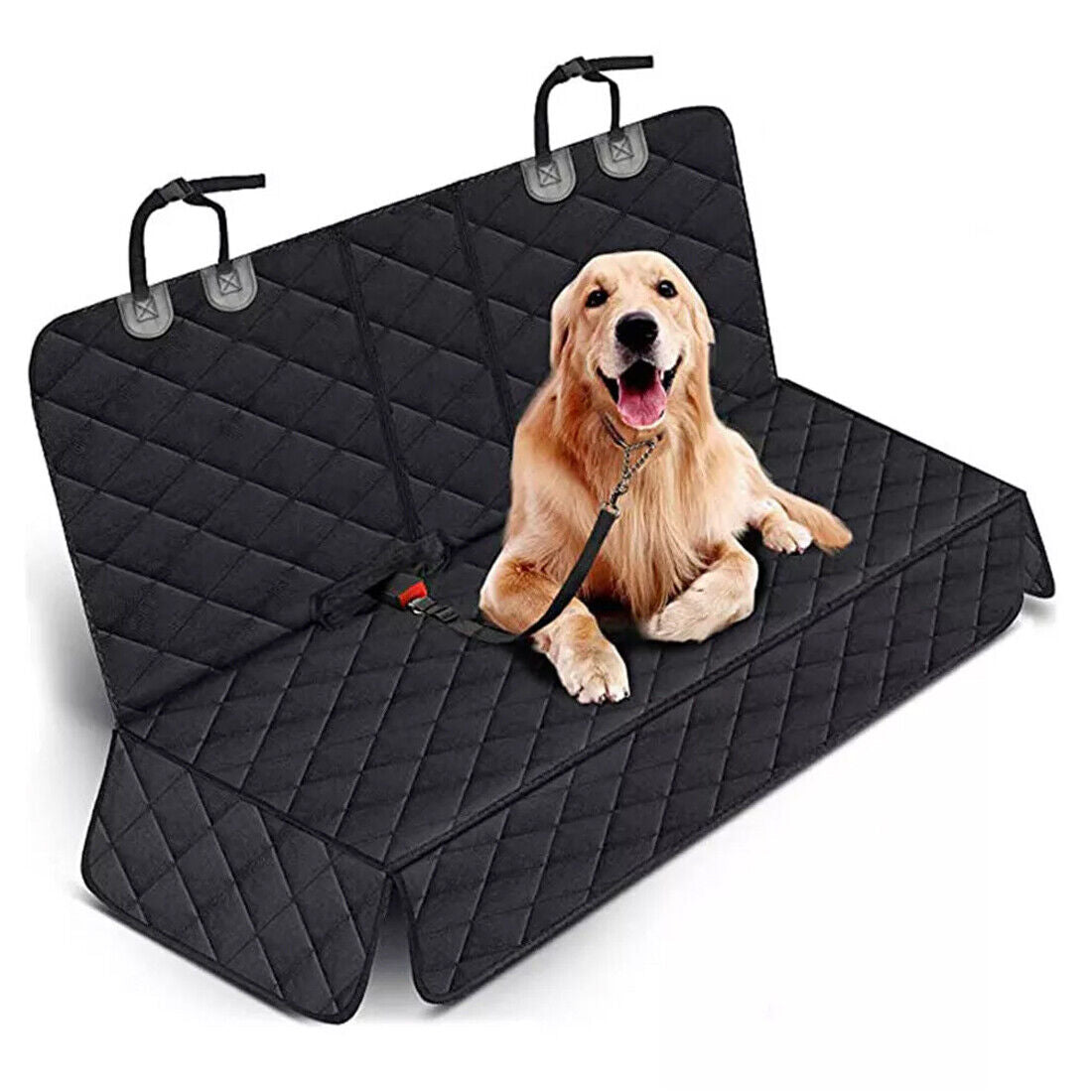 Dog on car seat cover