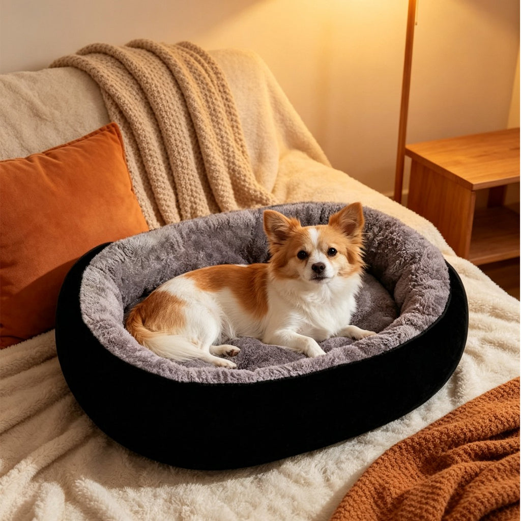 Cat in fleece pet bed