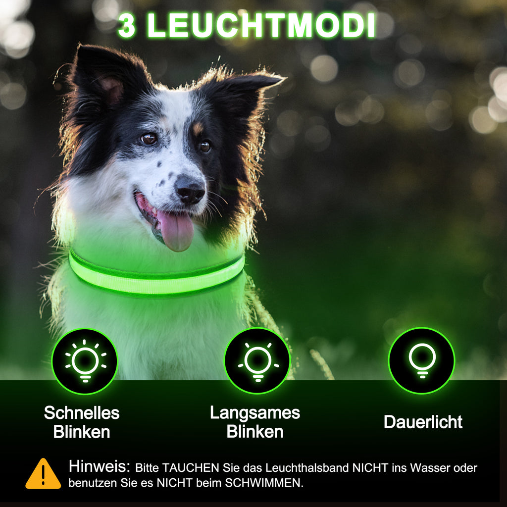 Light-up collar colours