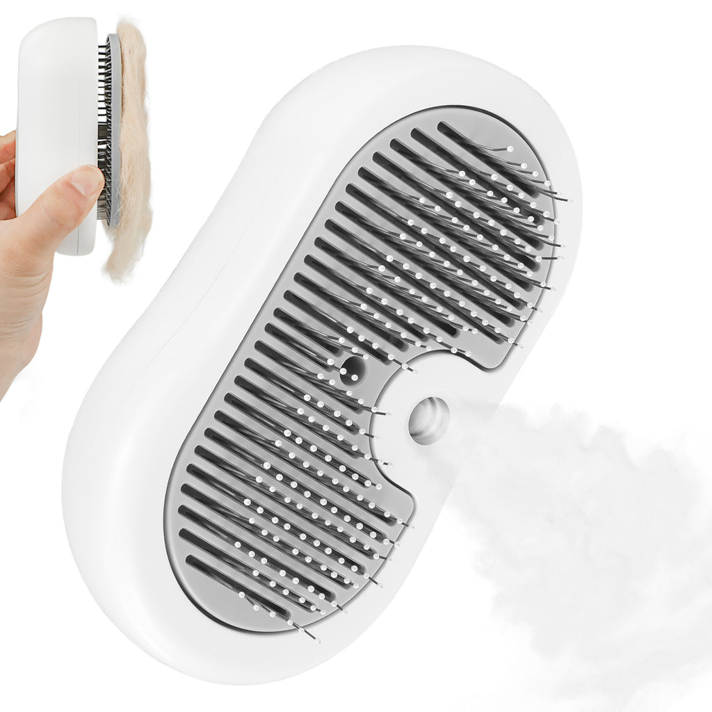 Steam brush mist spray