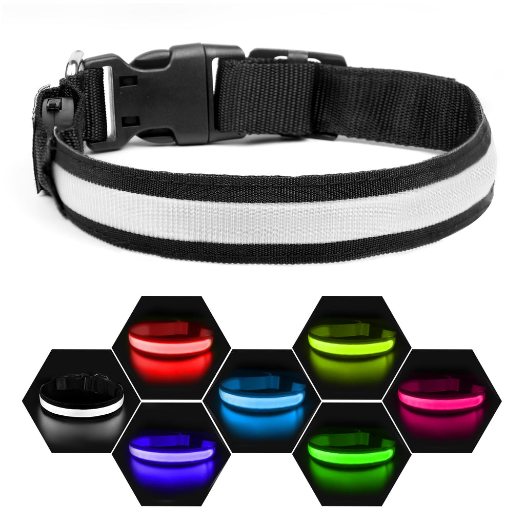 USB rechargeable dog collar