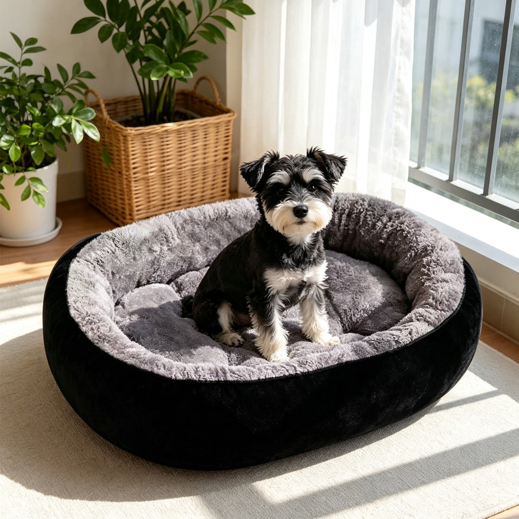 Pet bed sizes