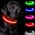 LED light-up dog collar